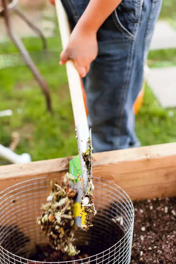 DIY Keyhole Garden: A Dad's Guide to a Garden for Sustainable